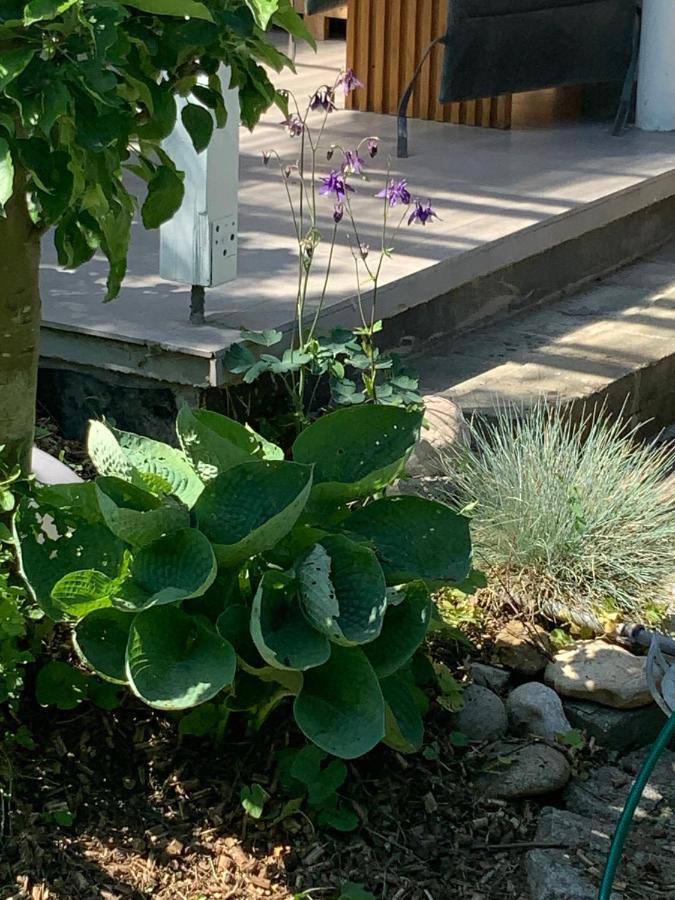 Haus 16 Ferienhaus Zwischen Salzburg Chiemsee Und Waging Am See Kirchanschoring ภายนอก รูปภาพ